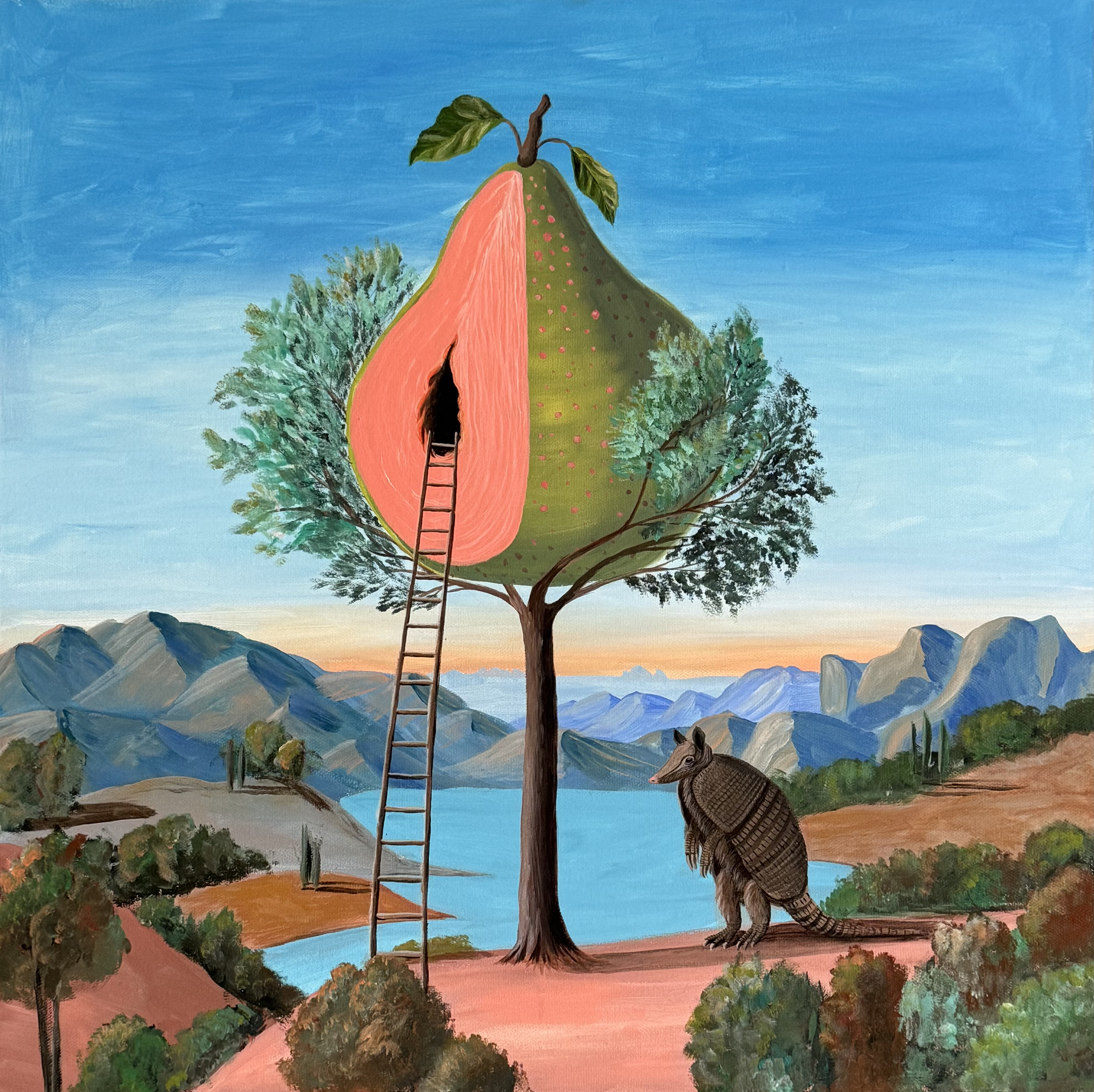 The armadillo and his sweet home.